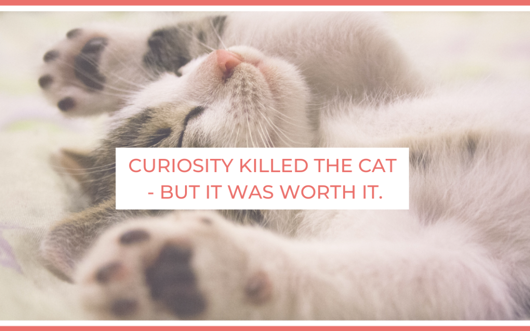 Curiosity Killed the Cat – But It Was Worth It